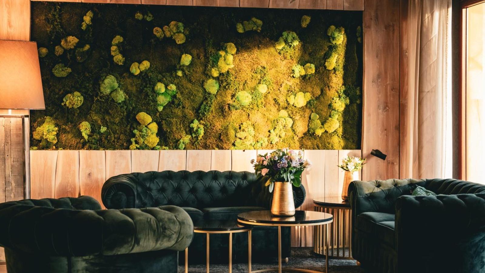 Hotel & Medi-Spa Bialy Kamien Świeradów-Zdrój Eksteriør billede