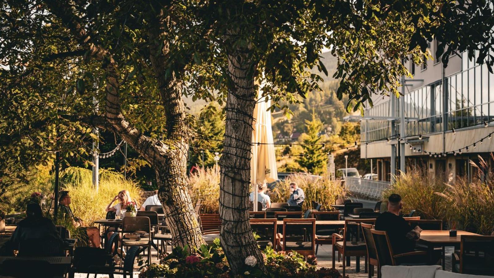 Hotel & Medi-Spa Bialy Kamien Świeradów-Zdrój Eksteriør billede